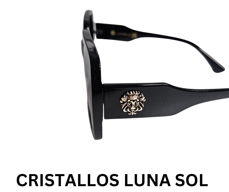 LIFESTYLE SUNGLASSES